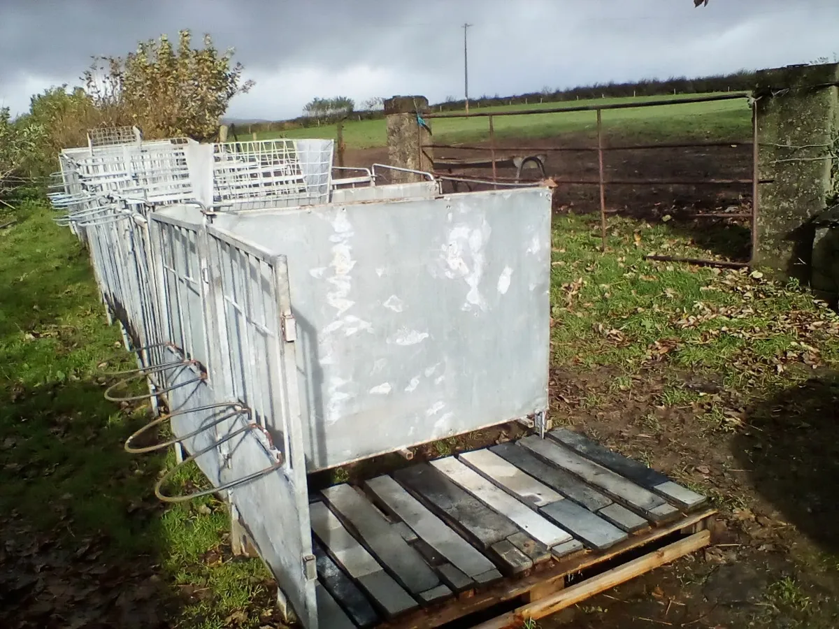 Cow and calf comfort - Image 2