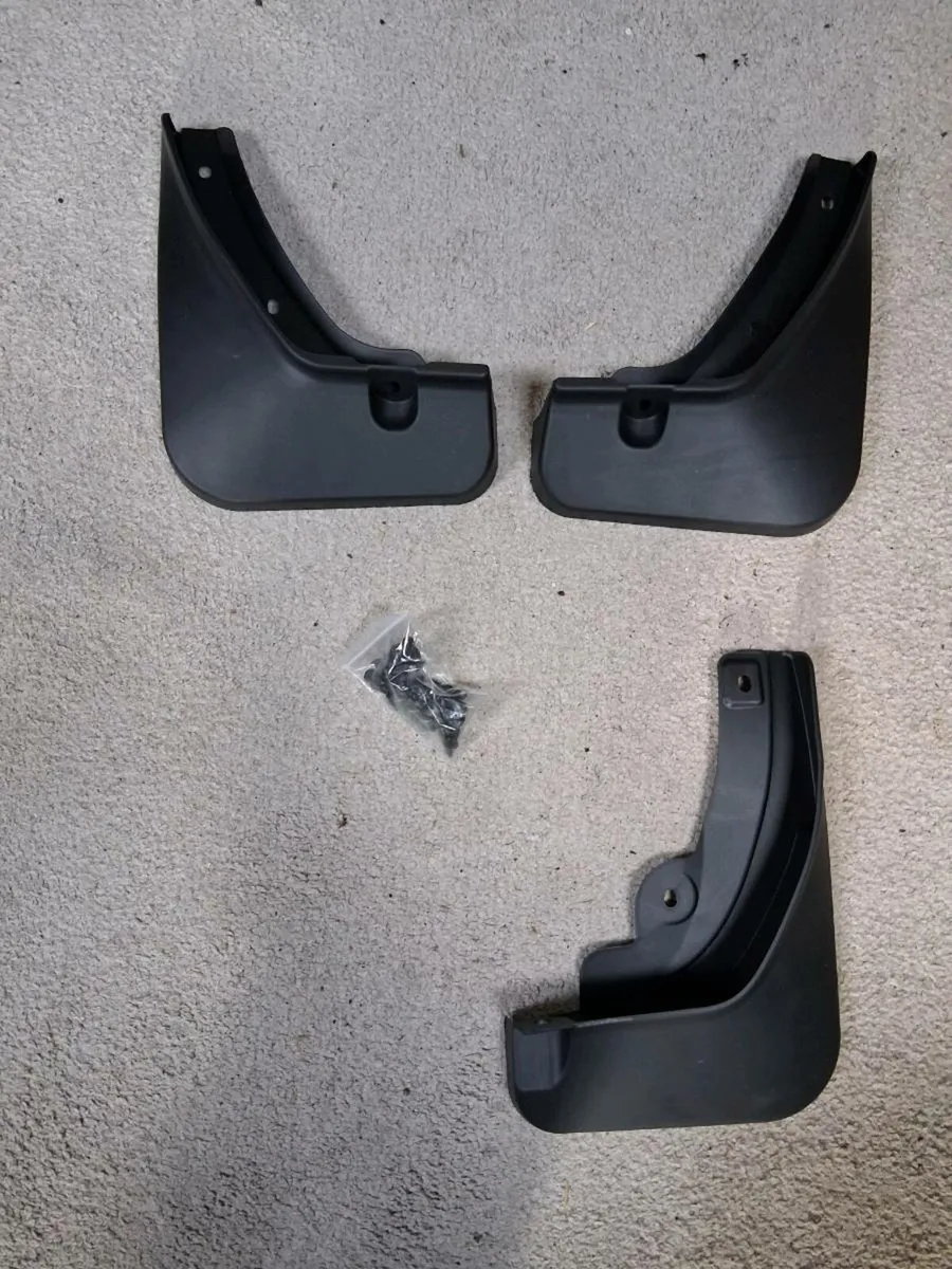 Hyundai ioniq 5  boot mat,mudflaps, paint - Image 2