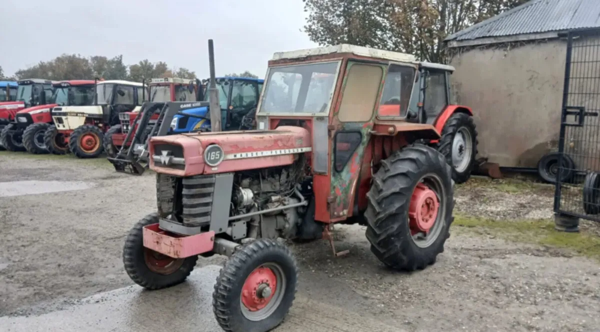 1967 Massey Fergusson 165 - Image 1