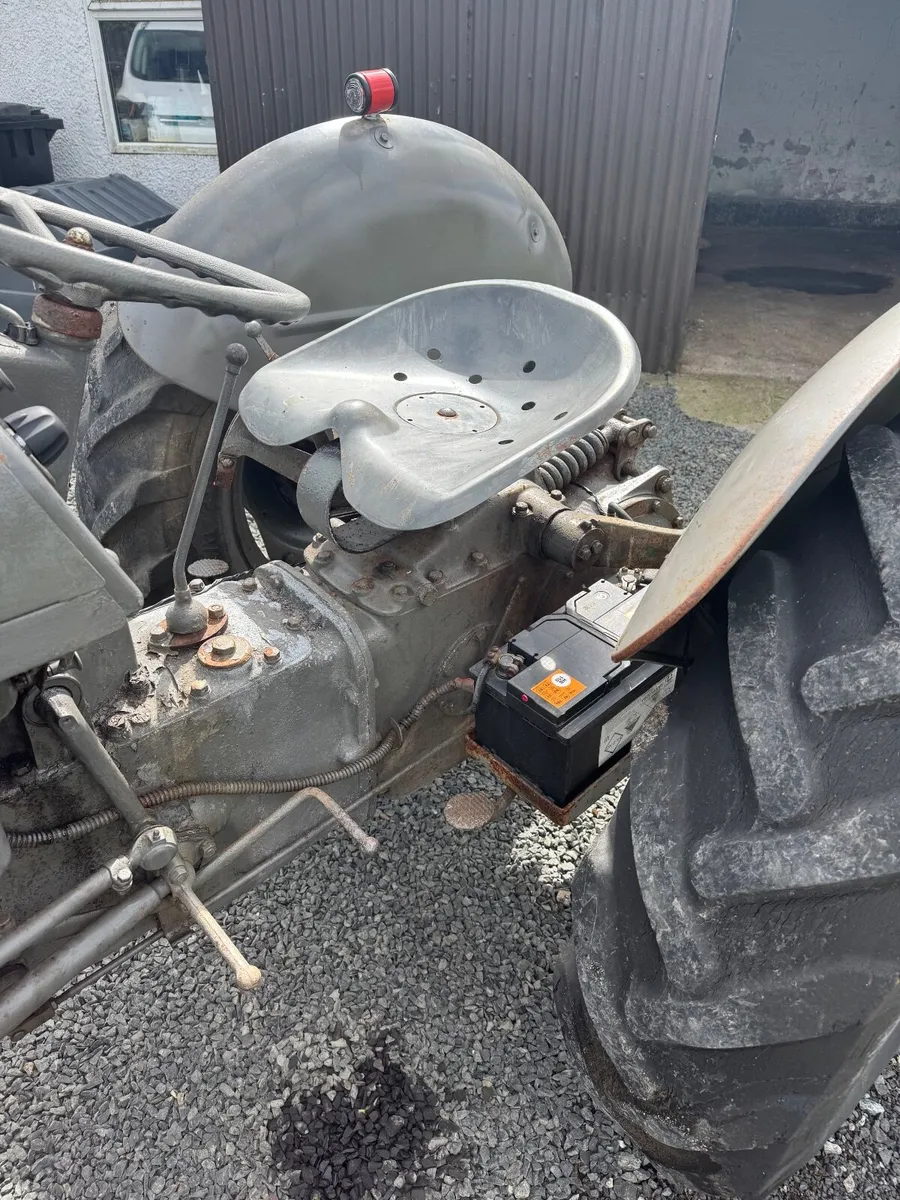 Massey Ferguson 1955 TEF 20 - Image 3