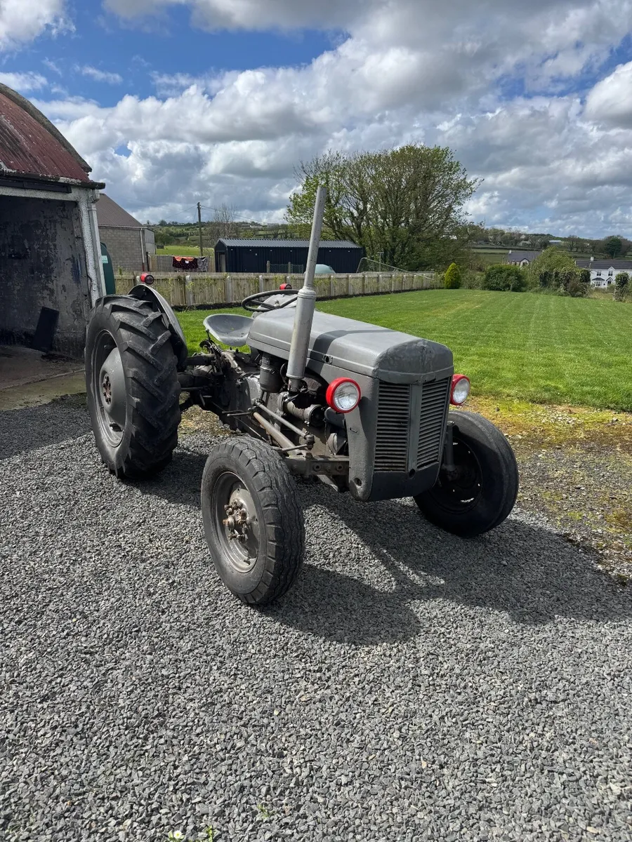 Massey Ferguson 1955 TEF 20 - Image 1