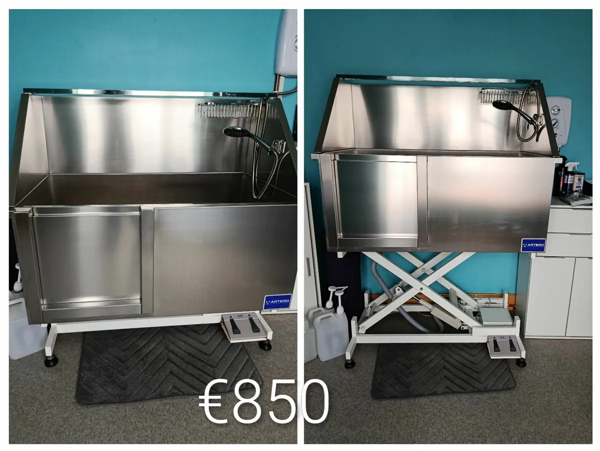 Dog Grooming Equipment - Image 1