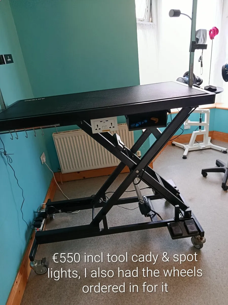 Dog Grooming Equipment - Image 2