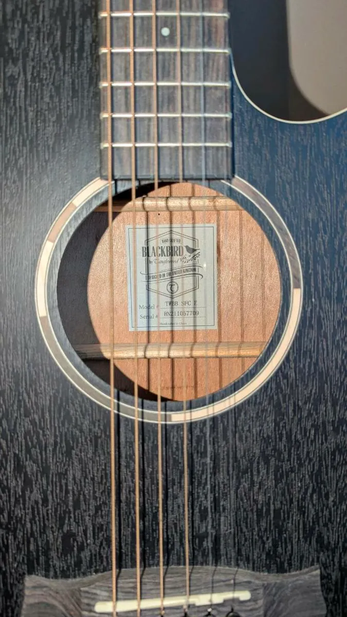 Tanglewood TWBB SFCE Electro Acoustic Gu - Image 2