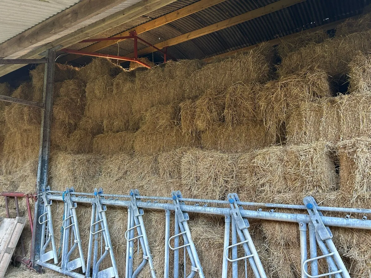 Top quality organic hay. Round and square bales. - Image 1