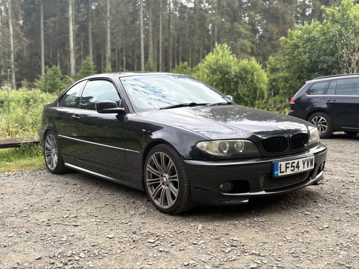 BMW E46 318ci 2.0L Coupe - Image 2