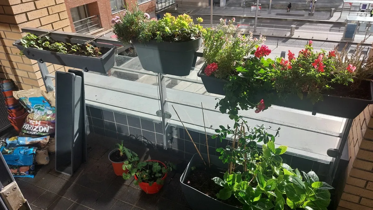Big group of pots and flowers/plants - Image 1