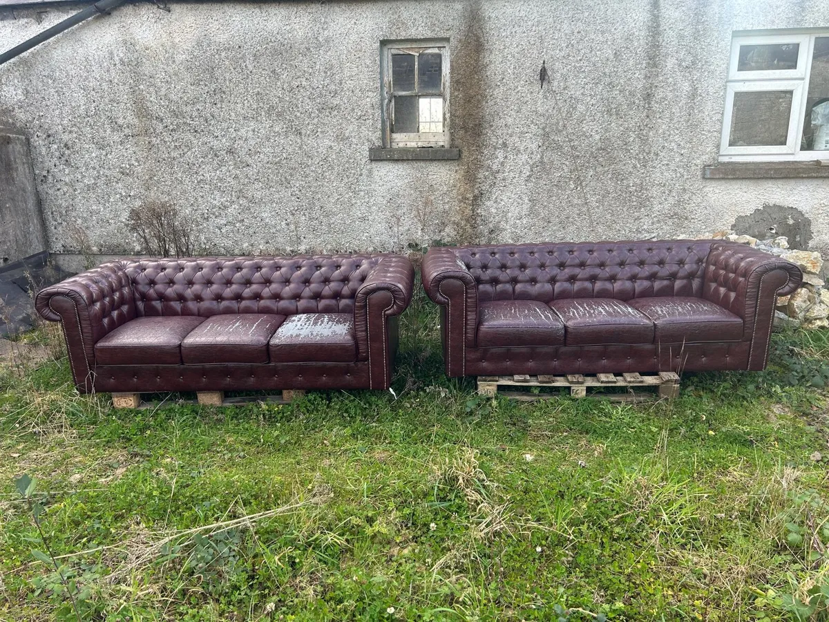 Chesterfield Couches - Image 1
