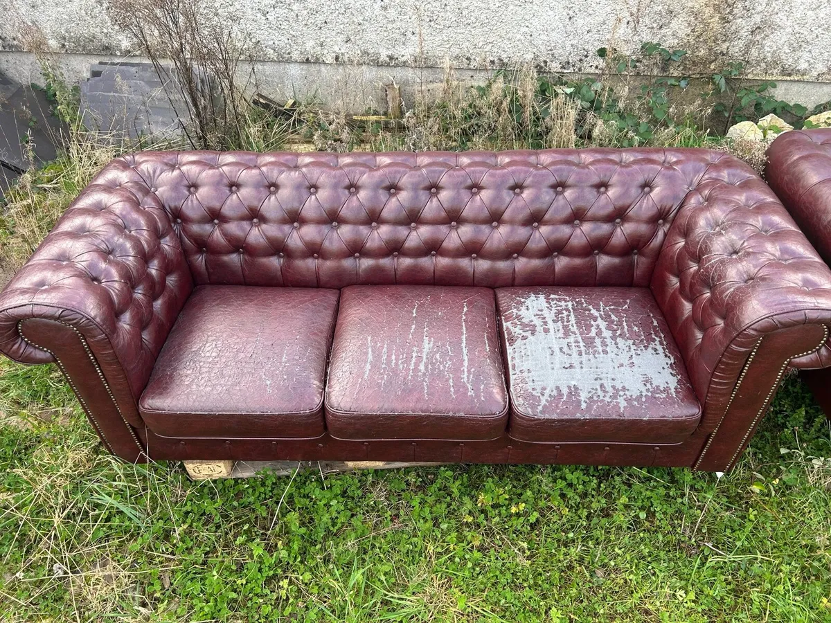 Chesterfield Couches - Image 2