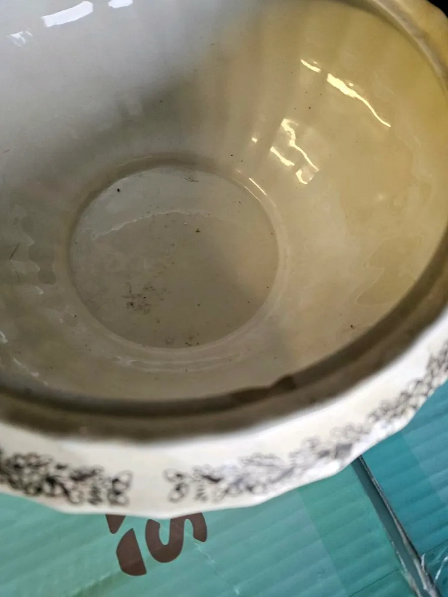 Vintage Staffordshire Soup Turin - Image 4