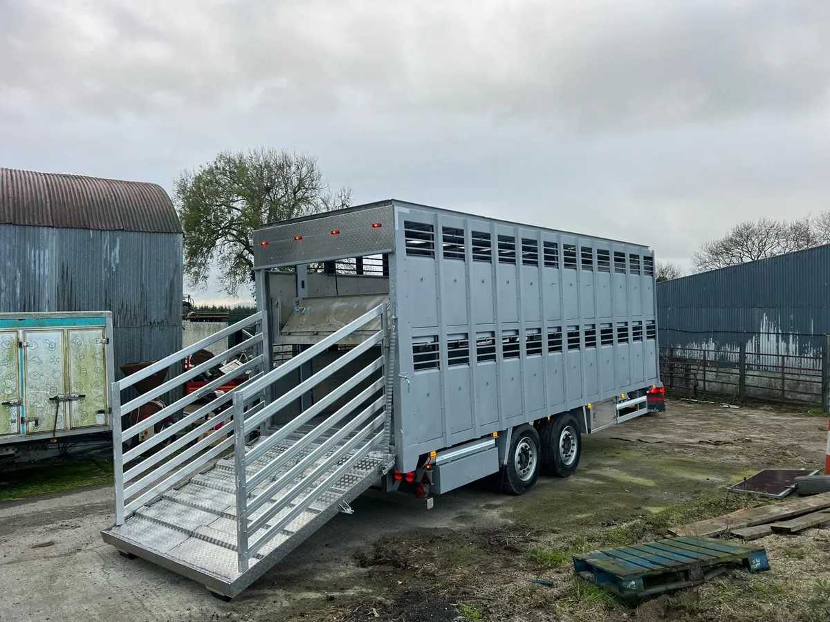 Cattle trailers - Image 1