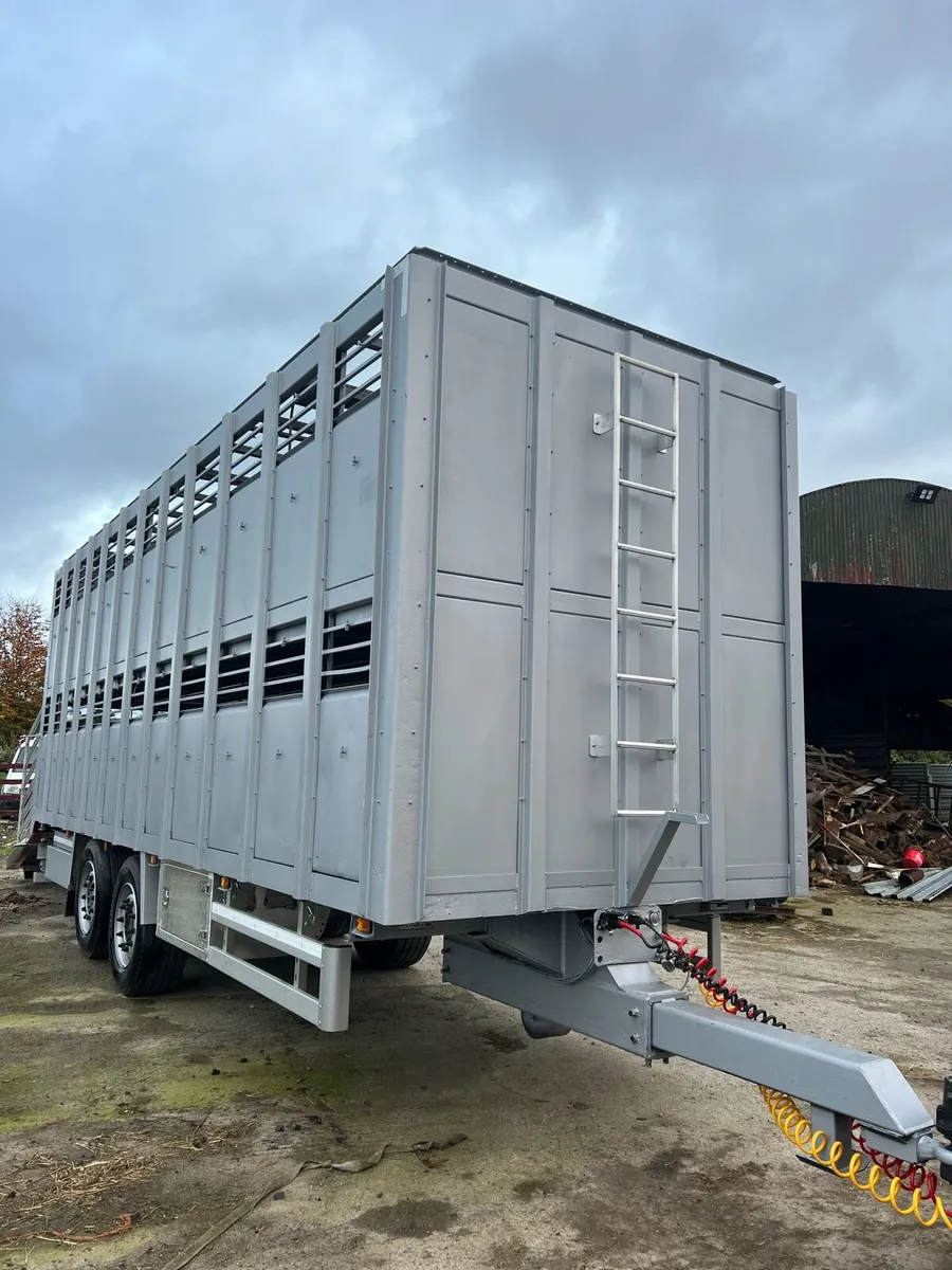 Cattle trailers - Image 2