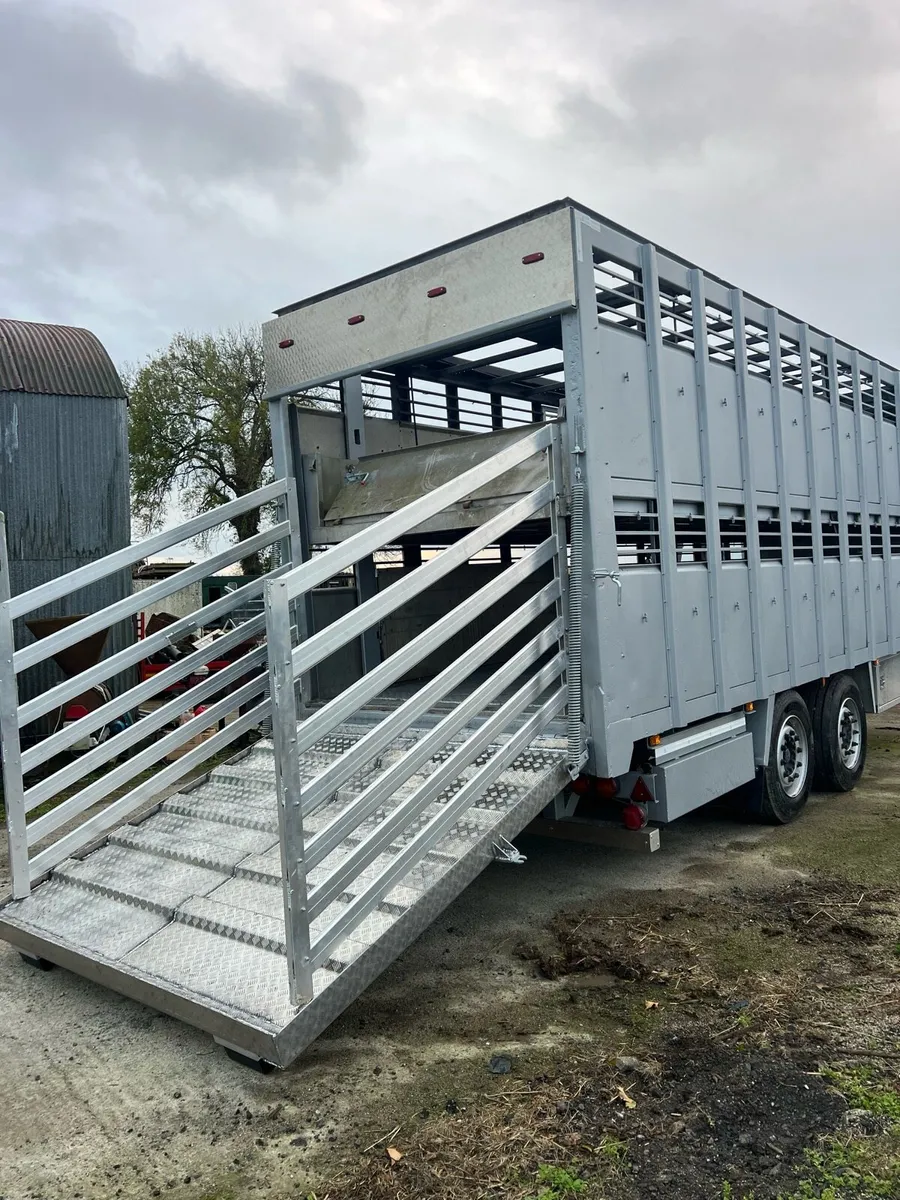Cattle trailers - Image 3