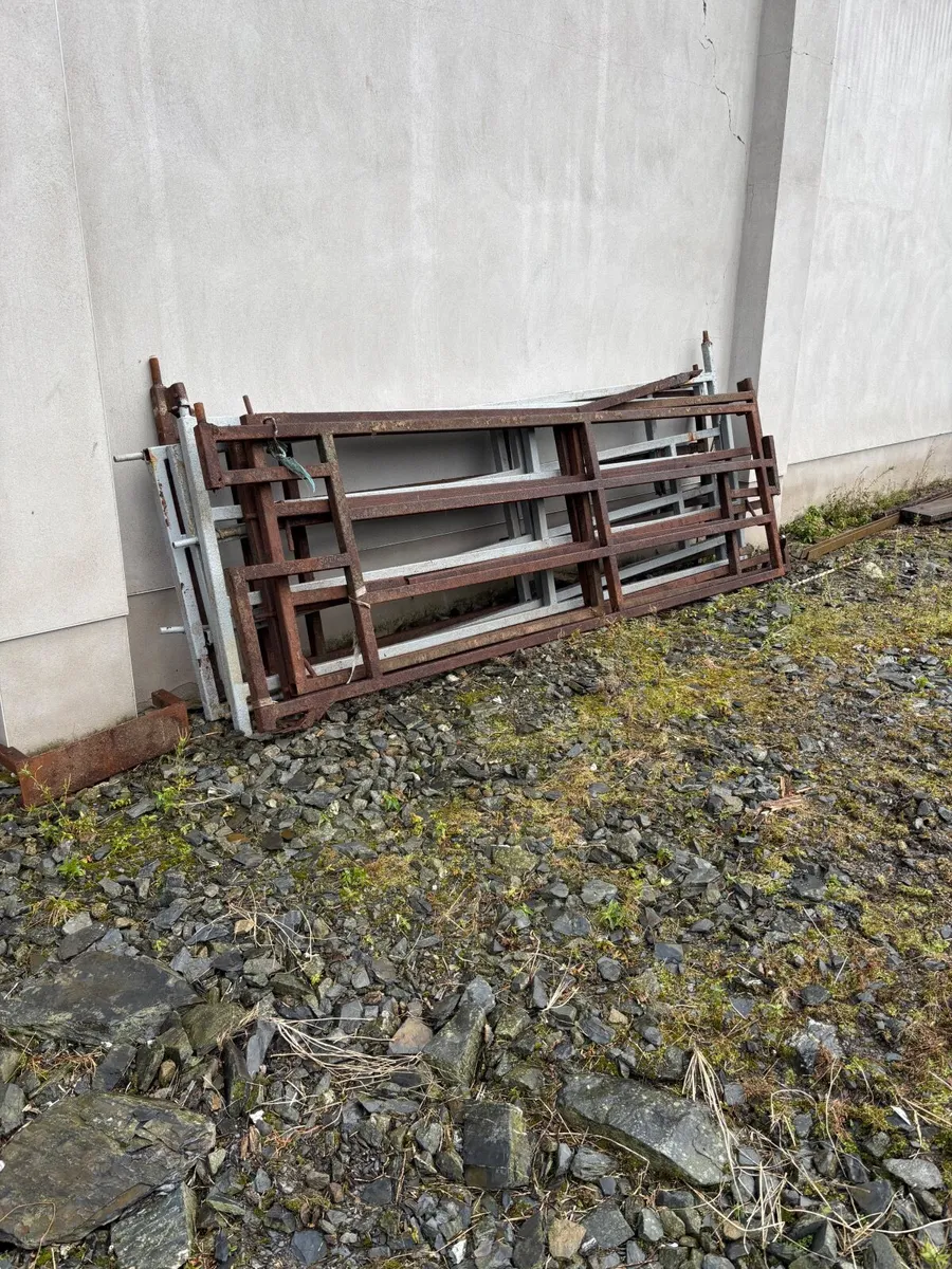 Feeding Barrier Gate & Dividing Gates - Image 3