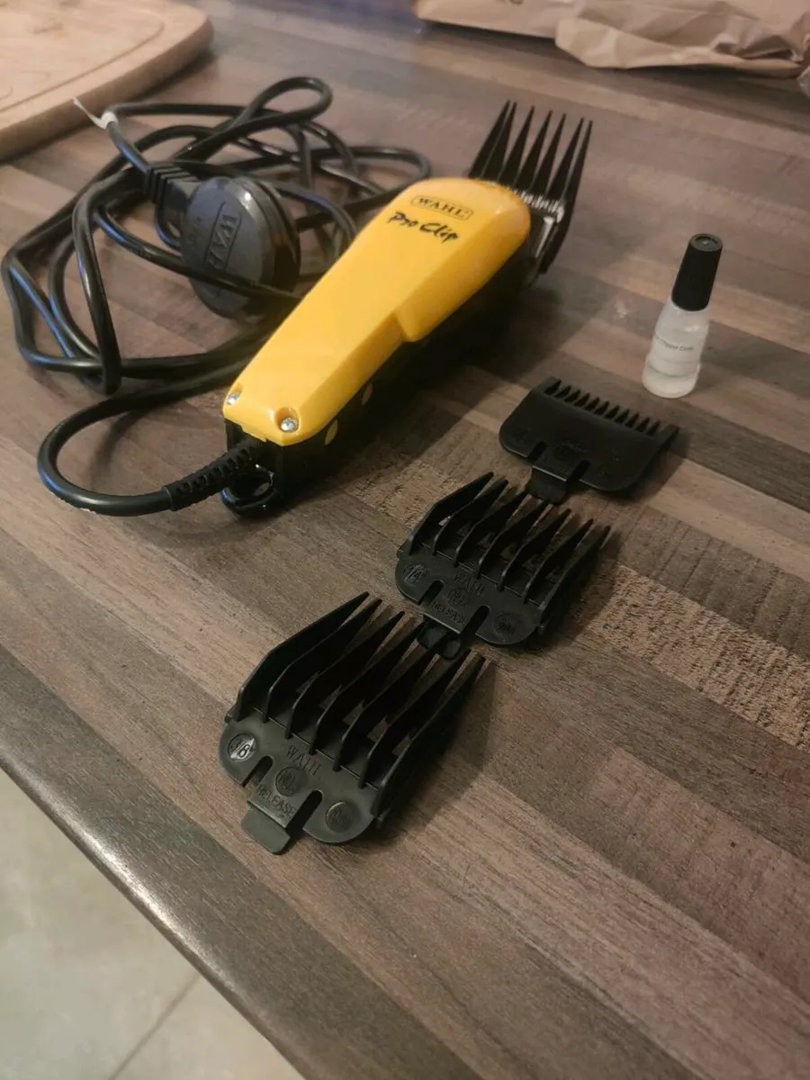 Commercial hair clipper - Image 1