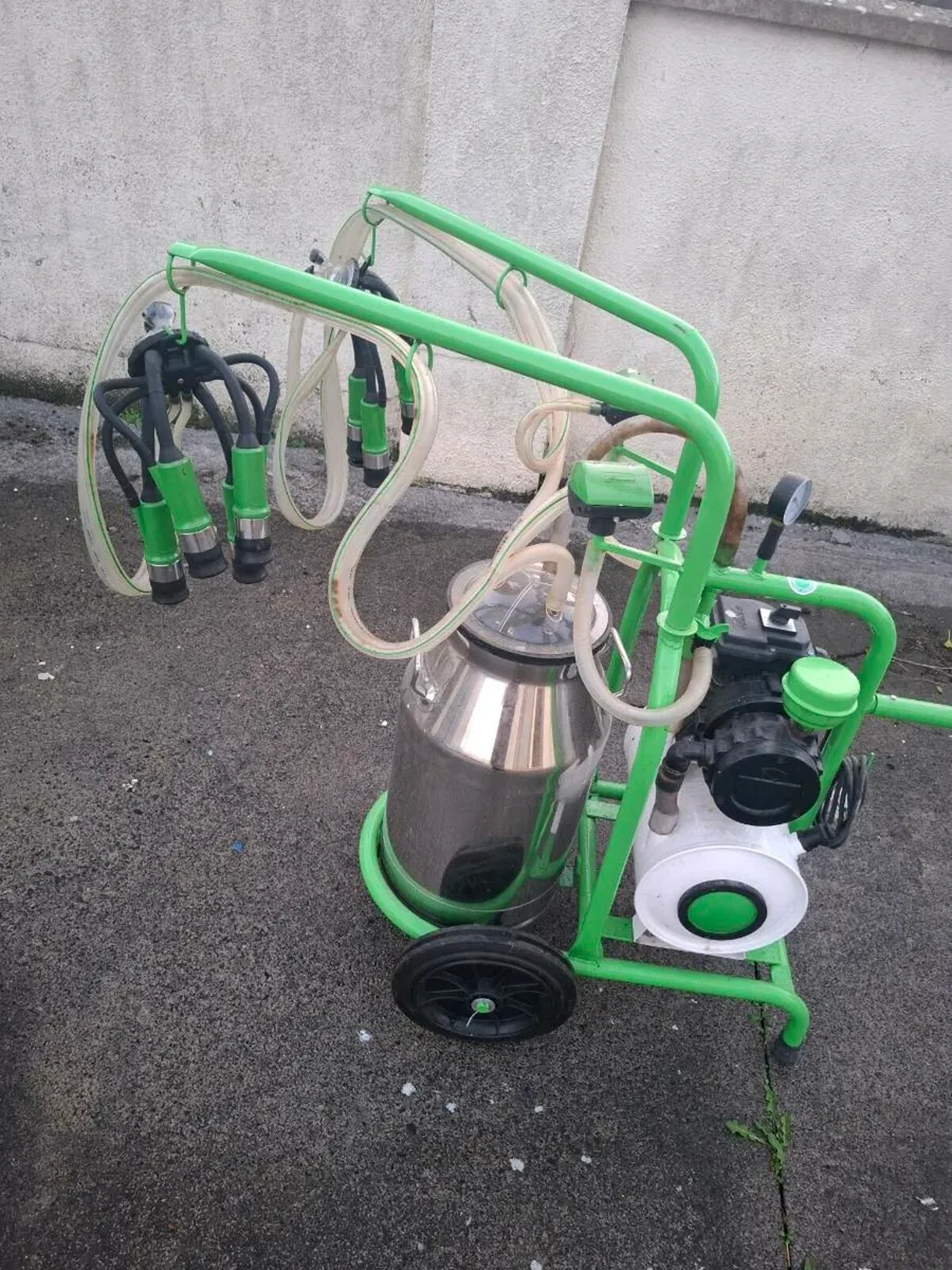 Portable milking machine double cluster - Image 1