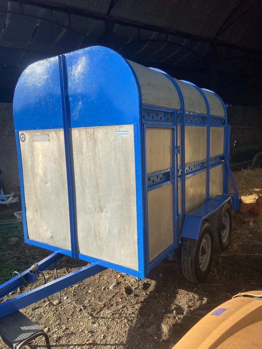 Cattle , sheep box - Image 3