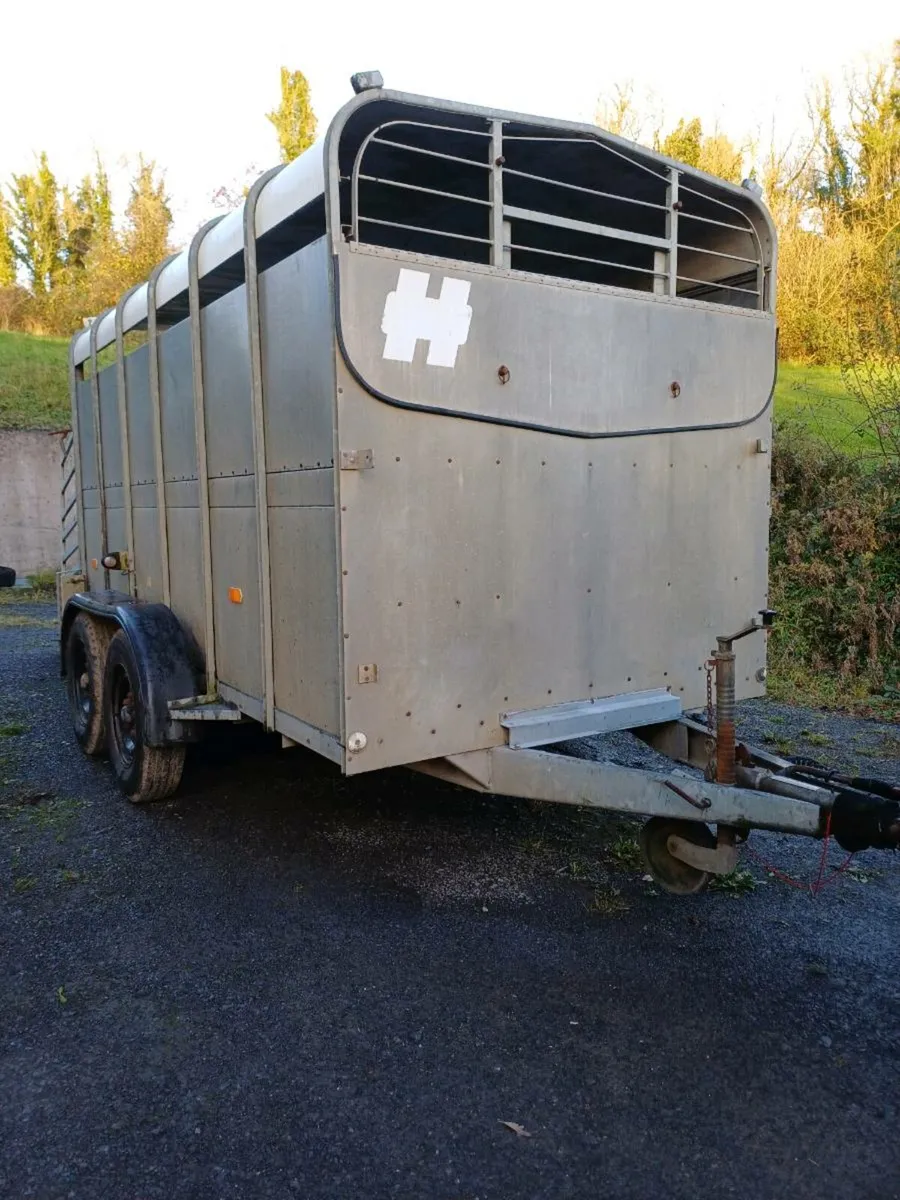 Hudson 12ft cattle trailer - Image 2