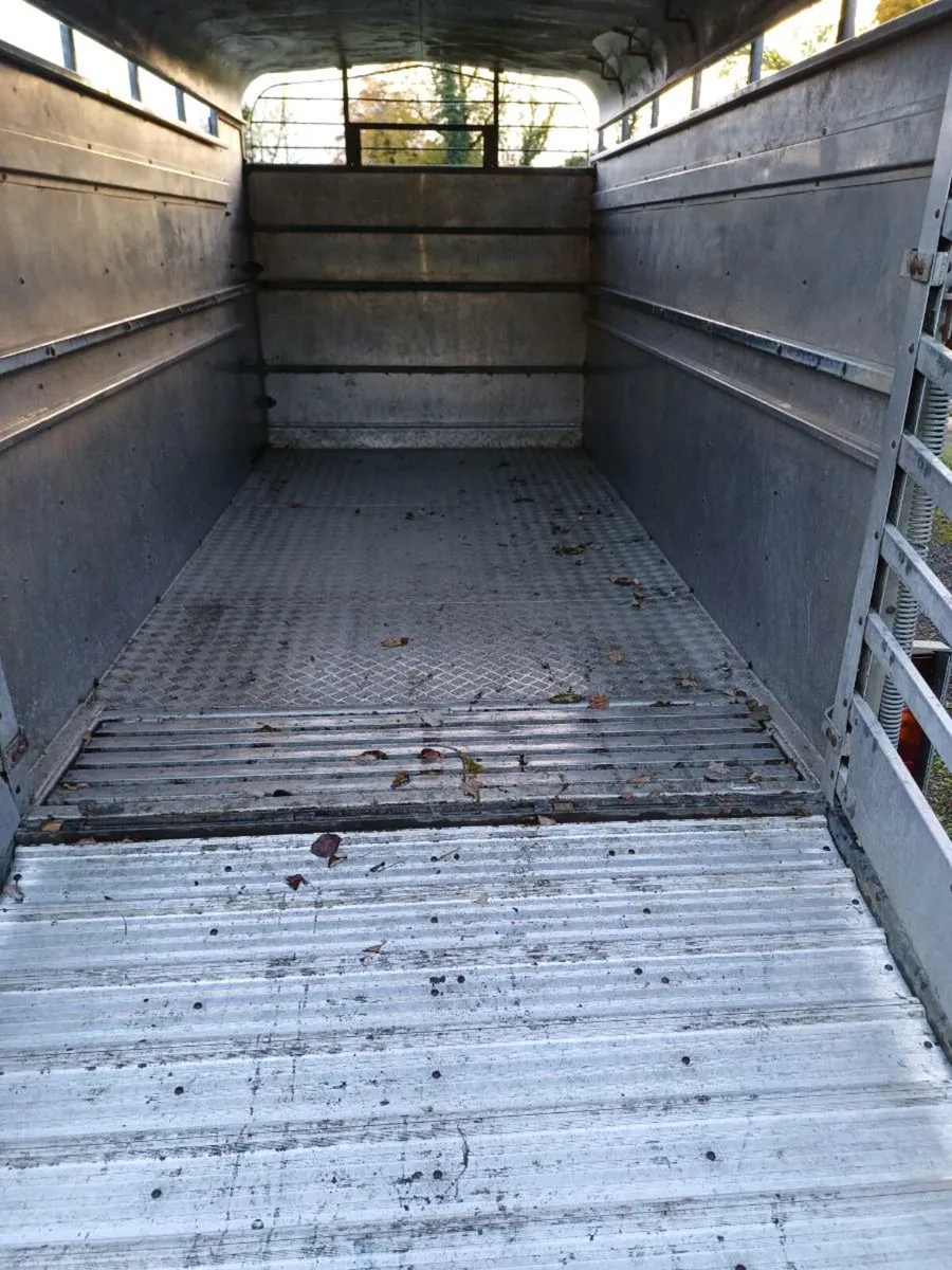 Hudson 12ft cattle trailer - Image 3