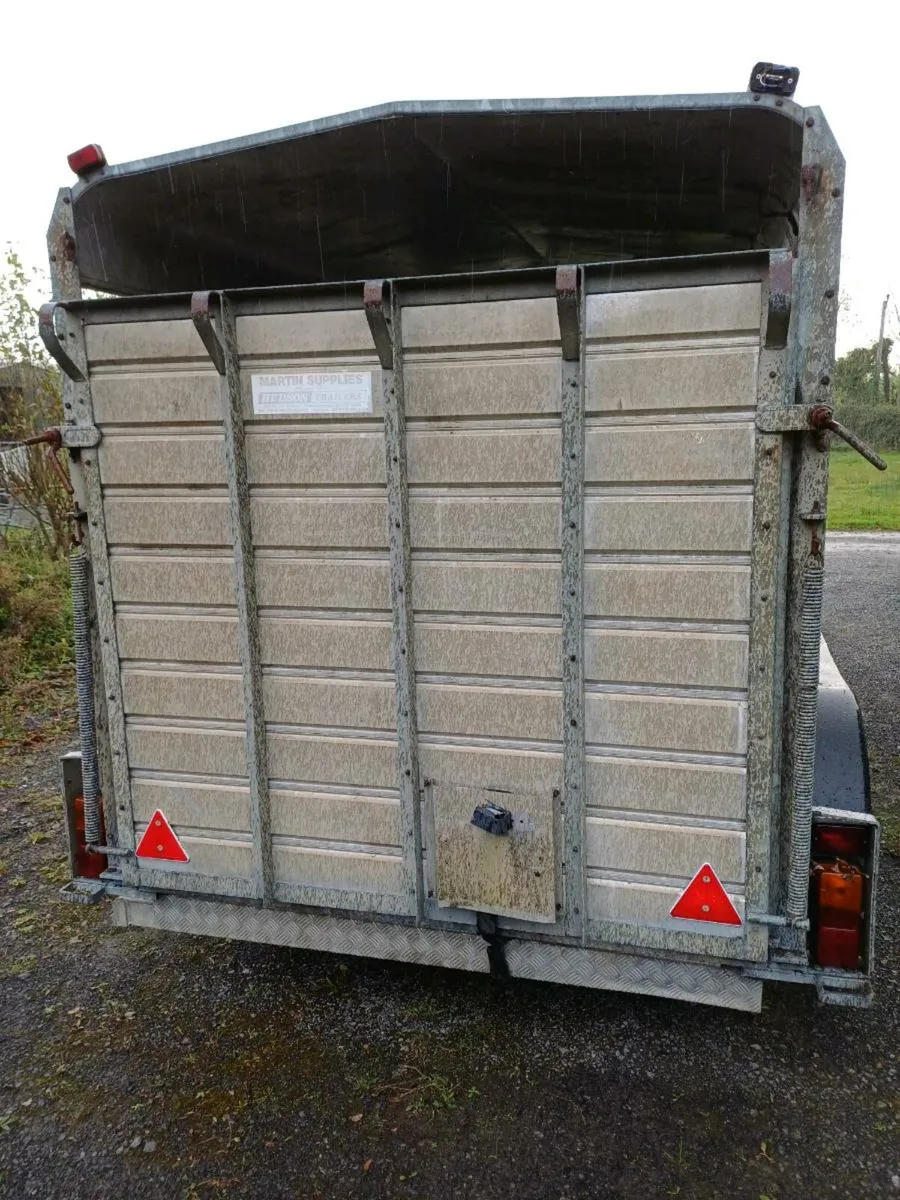 Hudson 12ft cattle trailer - Image 4