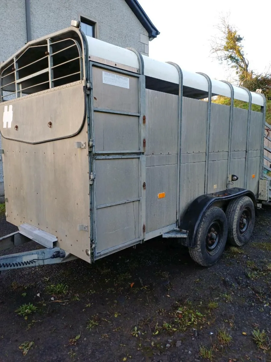 Hudson 12ft cattle trailer - Image 1