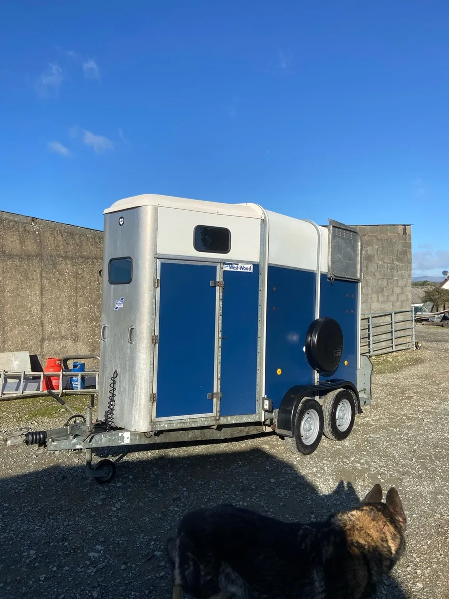 Ifor Williams 505 - Image 1