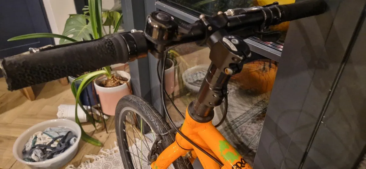 Frog bike 62 - Image 2
