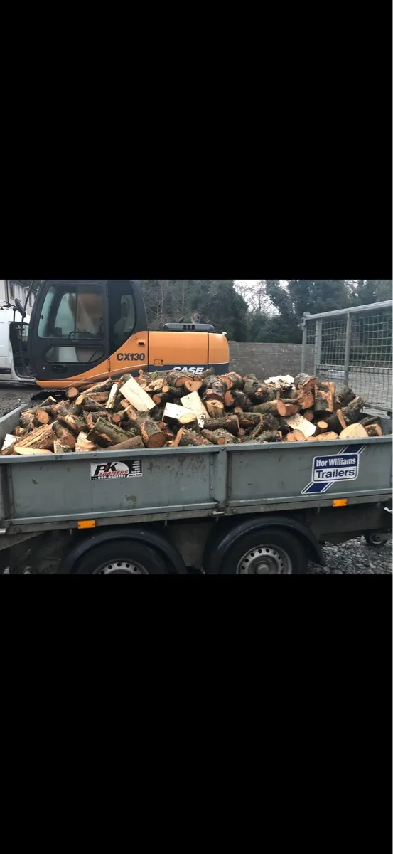 Ash firewood - Image 2