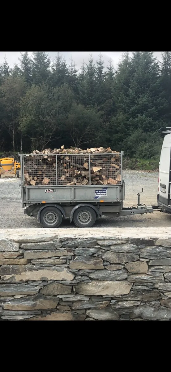 Ash firewood - Image 3