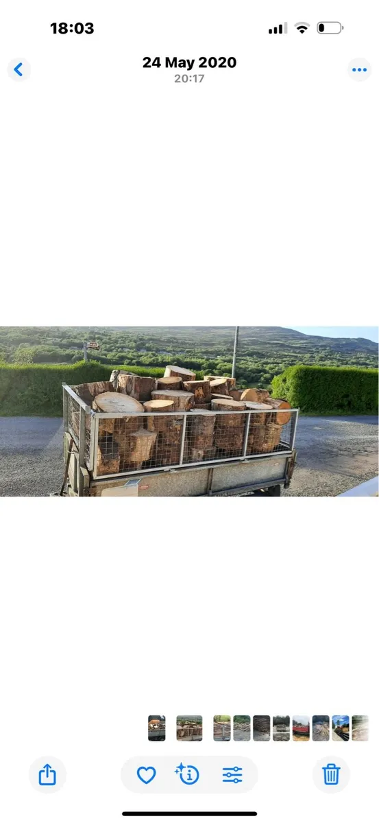 Ash firewood - Image 4