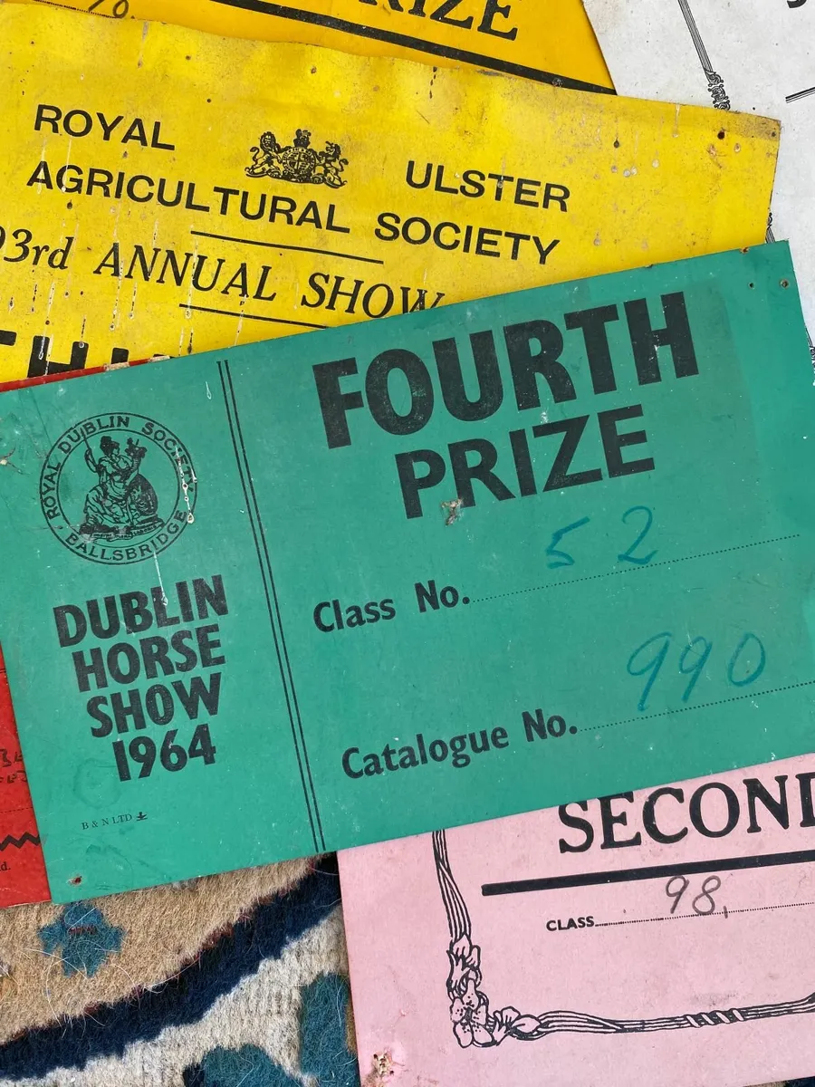Vintage 1930/40/5060 Dublin Horse show prize cards - Image 2