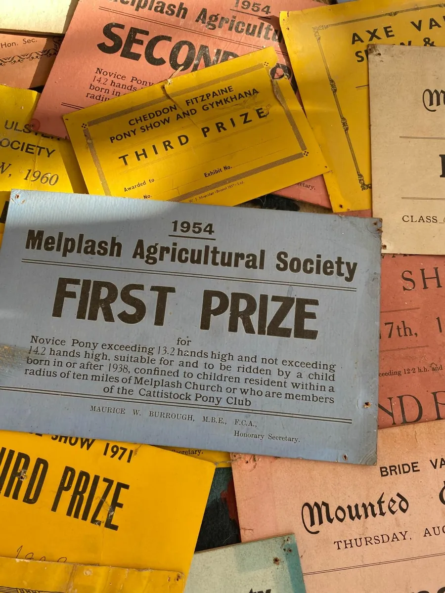 Vintage 1930/40/5060 Dublin Horse show prize cards - Image 3