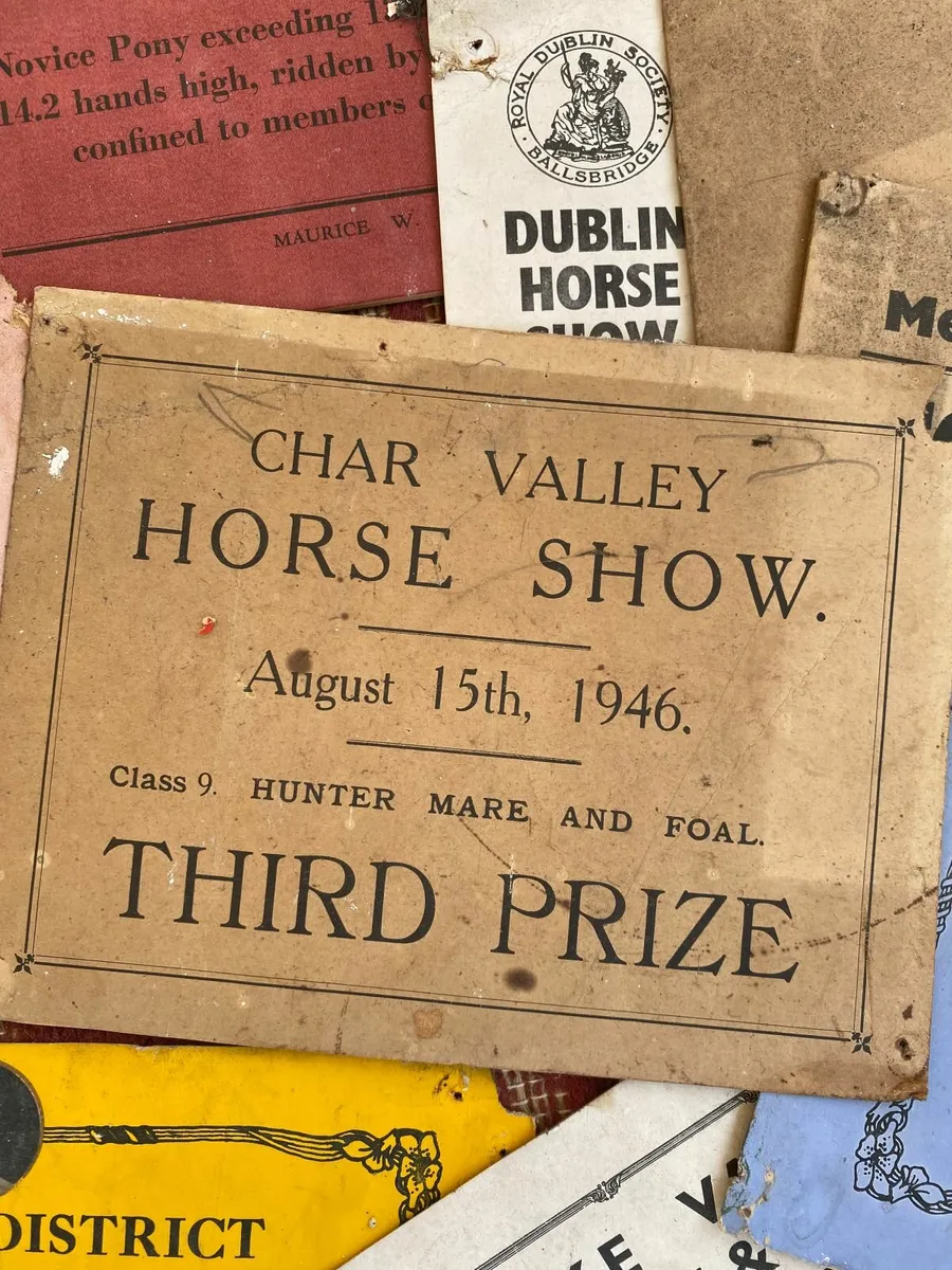 Vintage 1930/40/5060 Dublin Horse show prize cards - Image 4