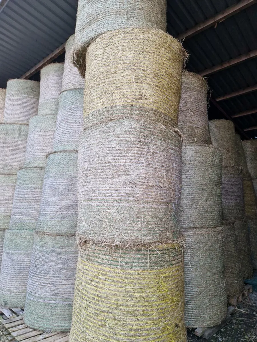 Hay for sale - Image 3