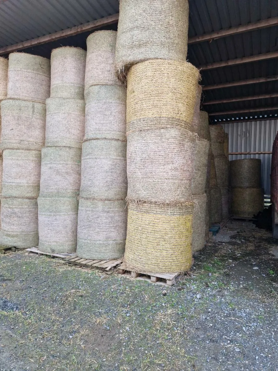 Hay for sale - Image 1