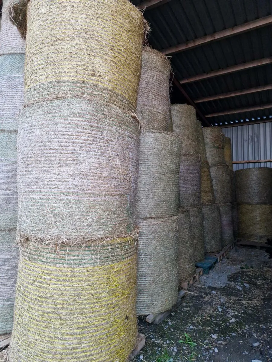 Hay for sale - Image 4