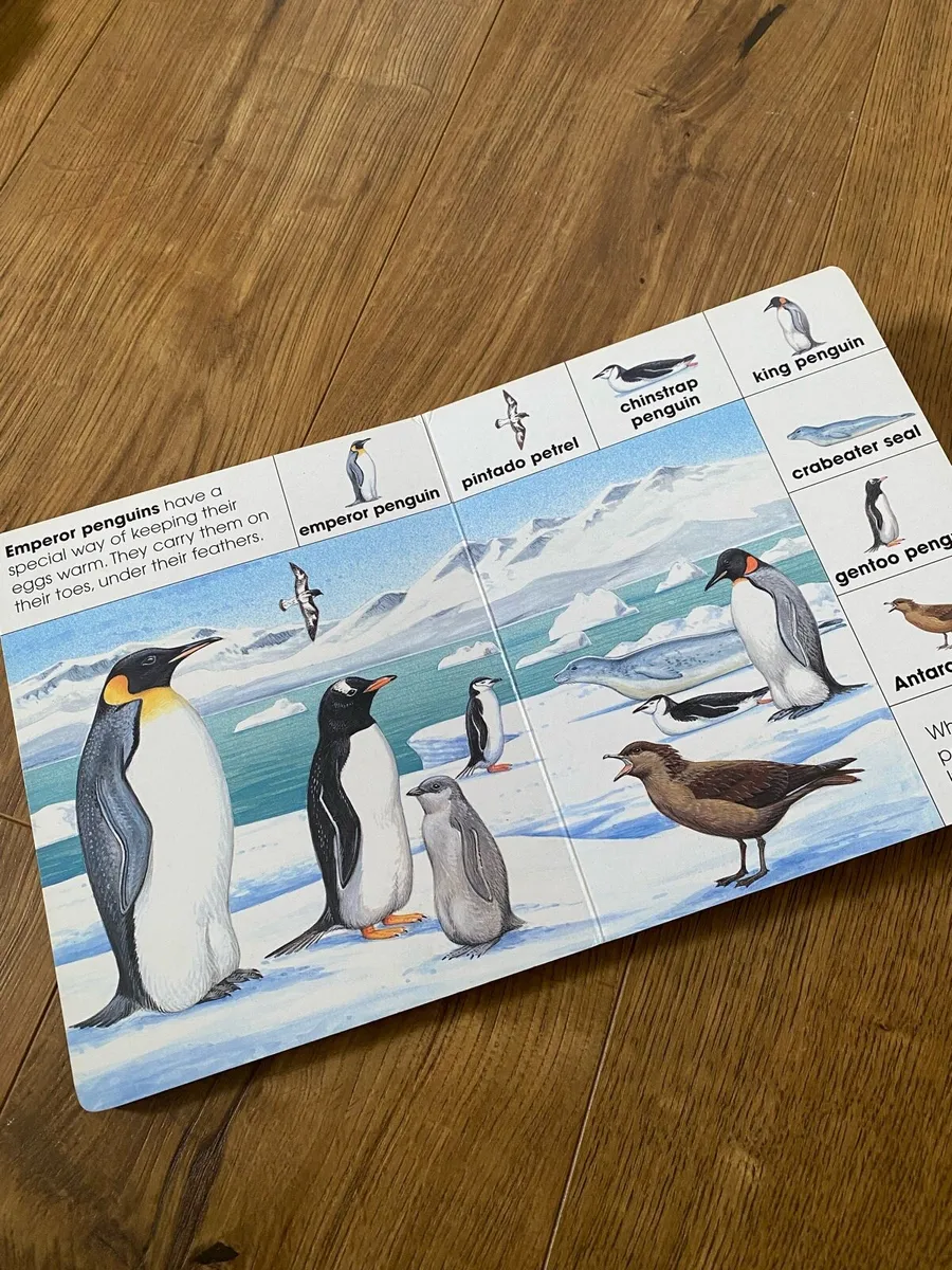 Kid’s Board Book 📕 Animals in the Snow - Image 3