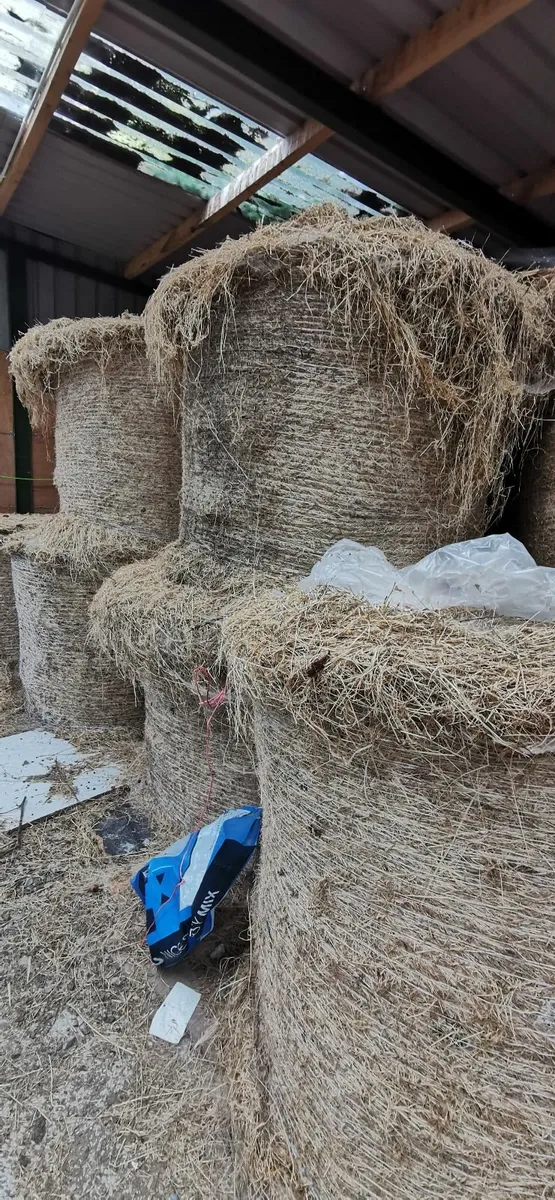 Hay bales - Image 2