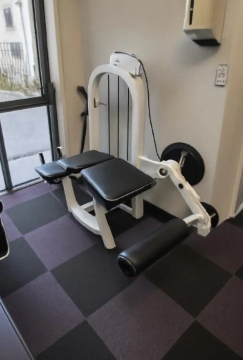 Lying Hamstring Curl Pin Select