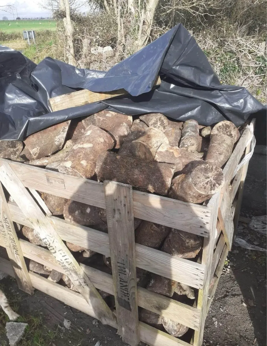 Firewood for sale - Image 1