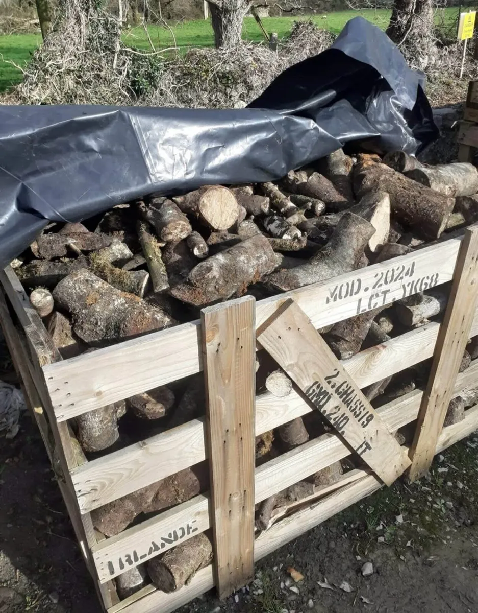 Firewood for sale - Image 2