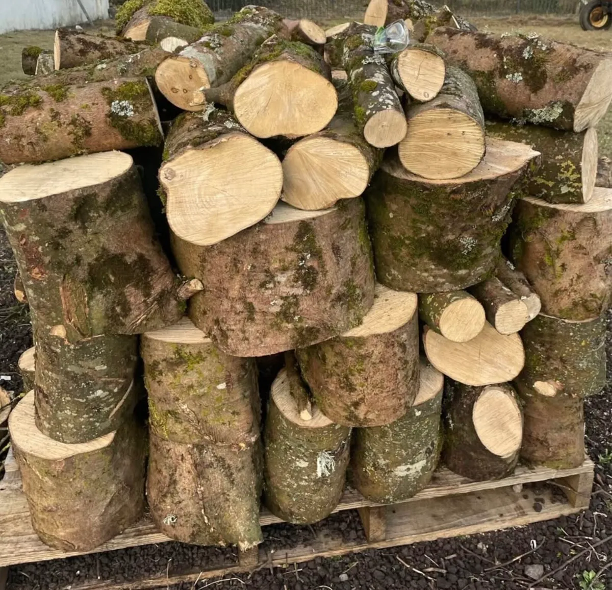 Firewood for sale - Image 3