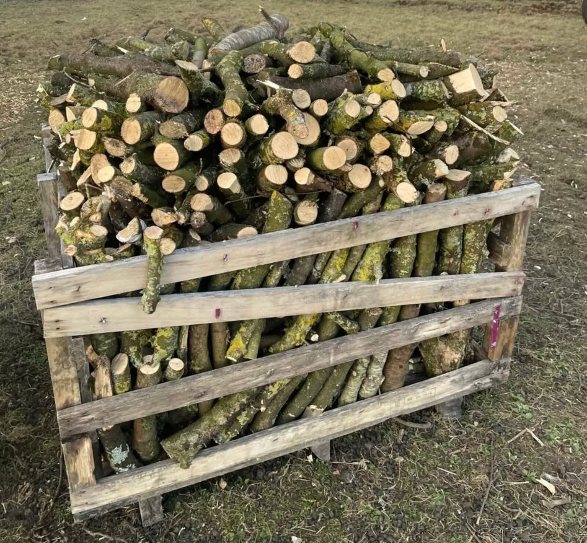 Firewood for sale - Image 4