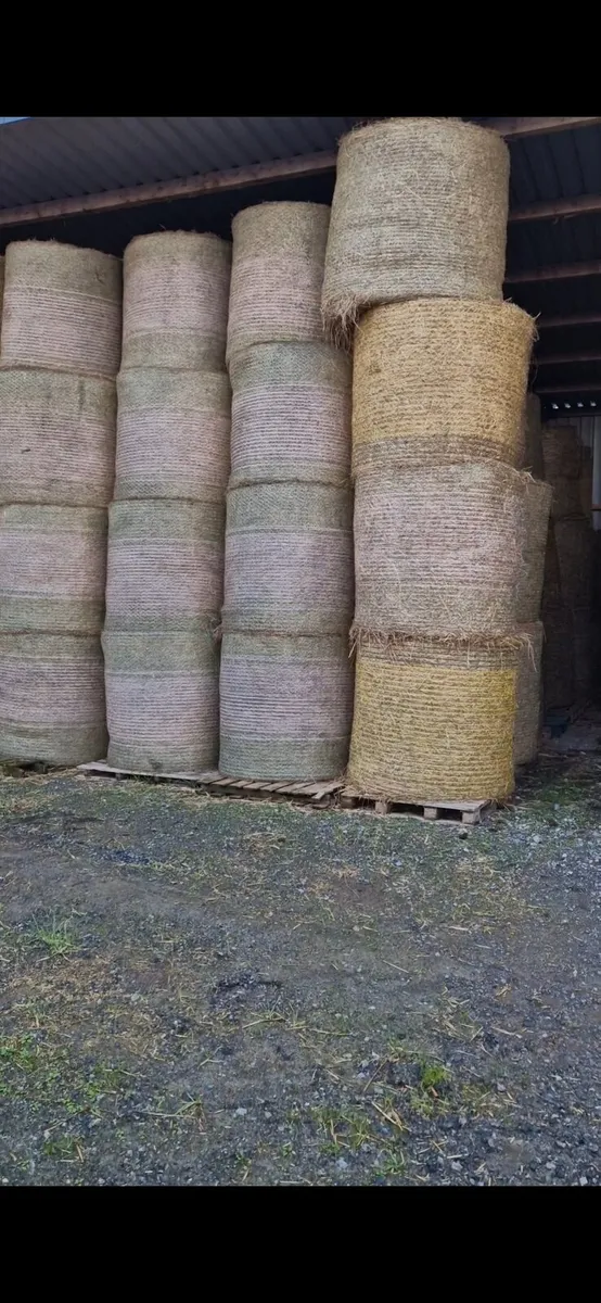 Hay for sale - Image 2