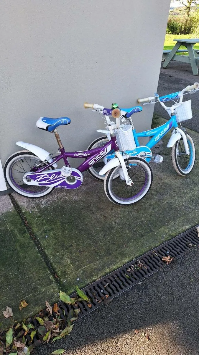 2 kids bikes