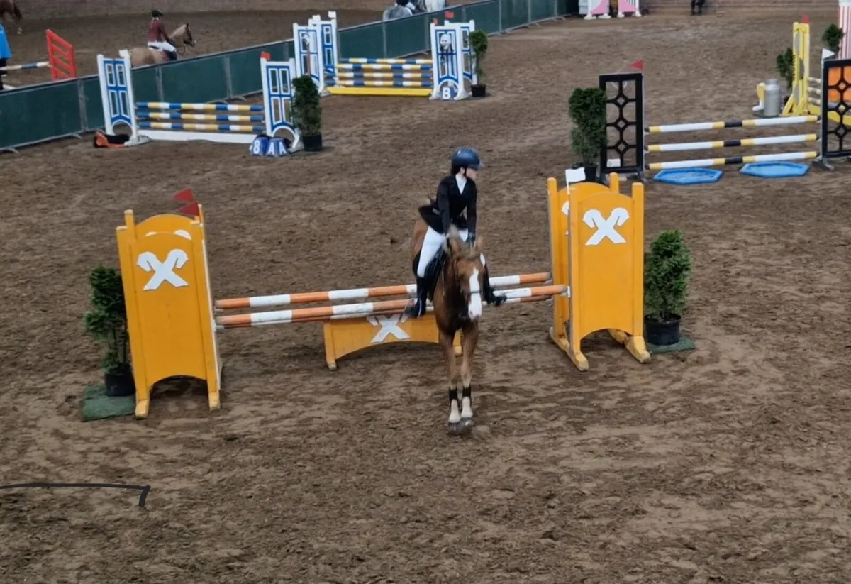 Absolute gem of a pony 🦄 - Image 3