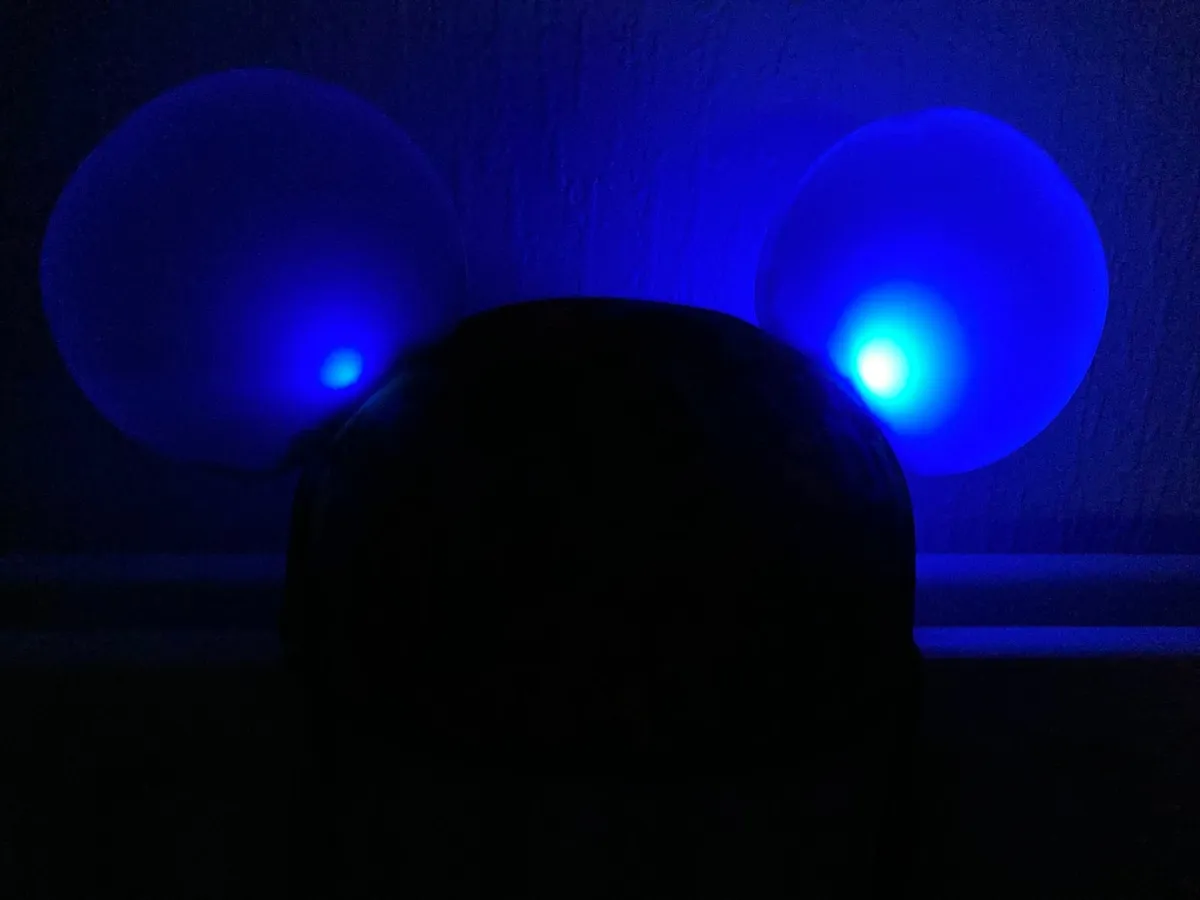 Disney Mouse Ears hat and hairbands - Image 2