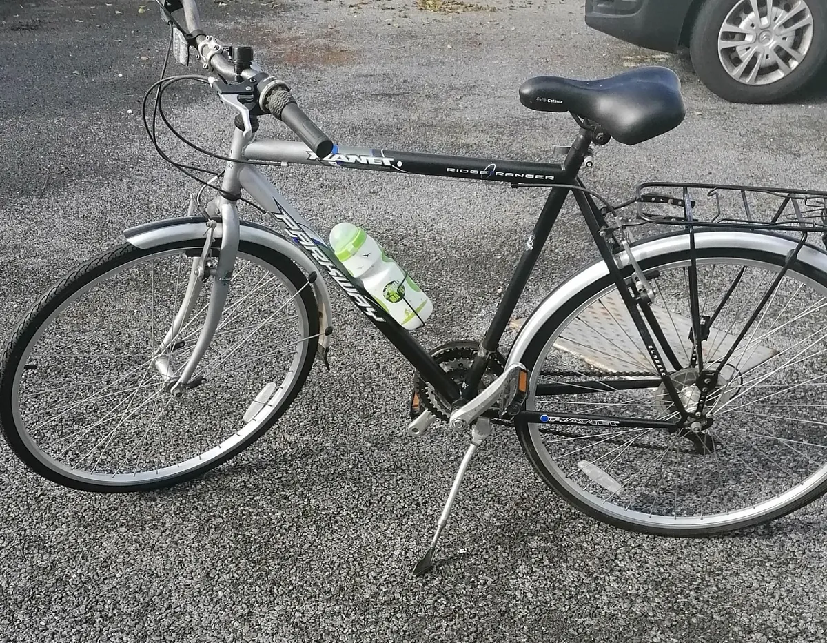 Ladies and Gents Bicycle - Image 3
