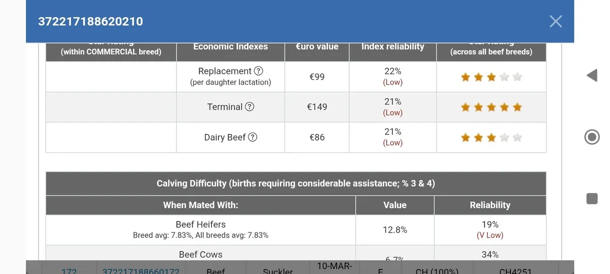 Pb charlaois Bulls - Image 2