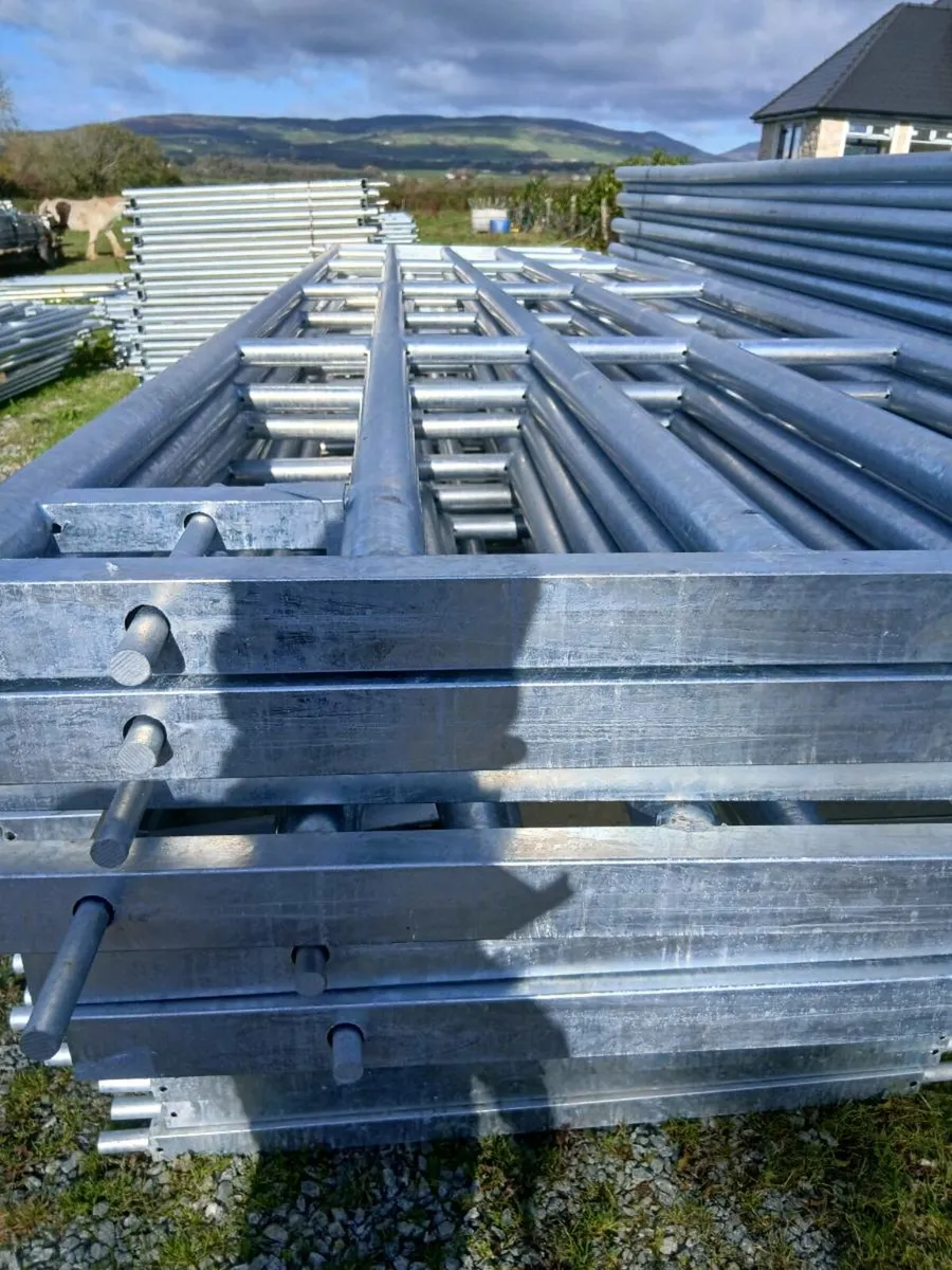 Heavy duty Gates Delivery available. - Image 4